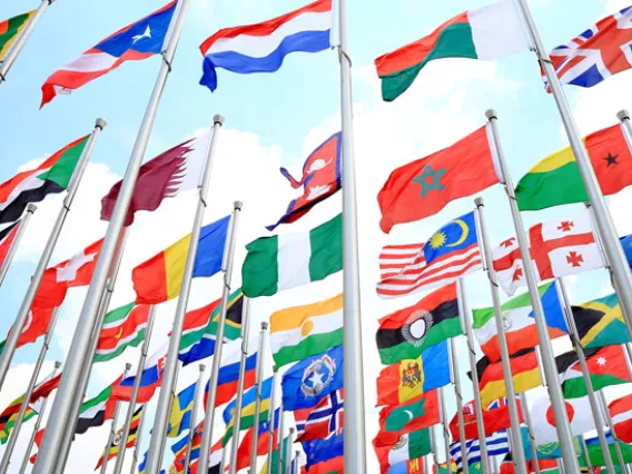 Photo of international flags