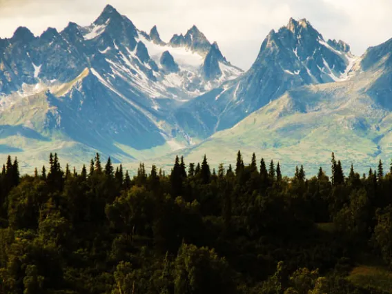 Photo of forest and mountains